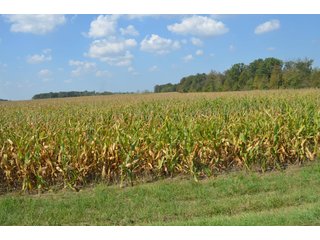 Property photo 29 - REAL ESTATE AUCTION - 604+/- ACRES IN 14 TRACTS IN MERCER CO., OHIO